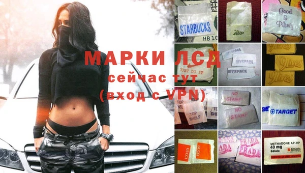 стафф Осташков